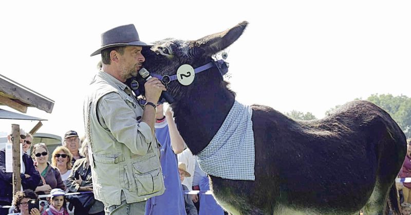 Wenn Schauspieler Gerd Meyer (die Stimme des Willi aus der ZDF-Serie Biene Maja) moderiert, spitzen sogar die Esel ihre Ohren.