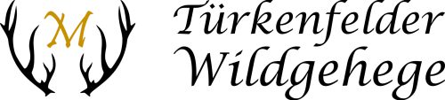 Logo_Wild-trans